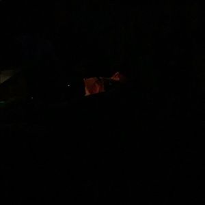 Meet your Posher, Noah